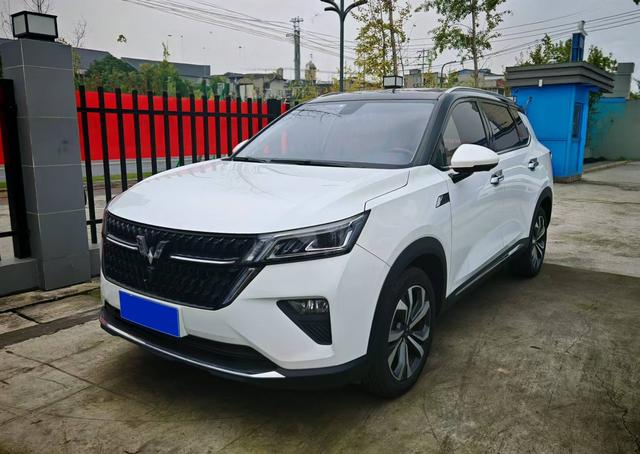 Wuling Star