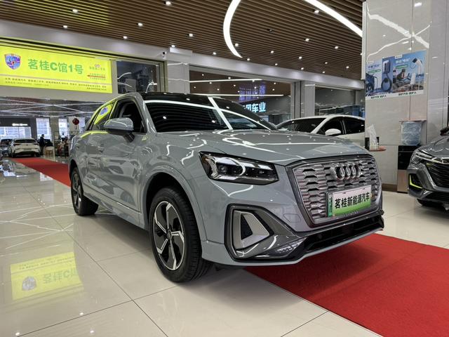 Audi Q2L e-tron