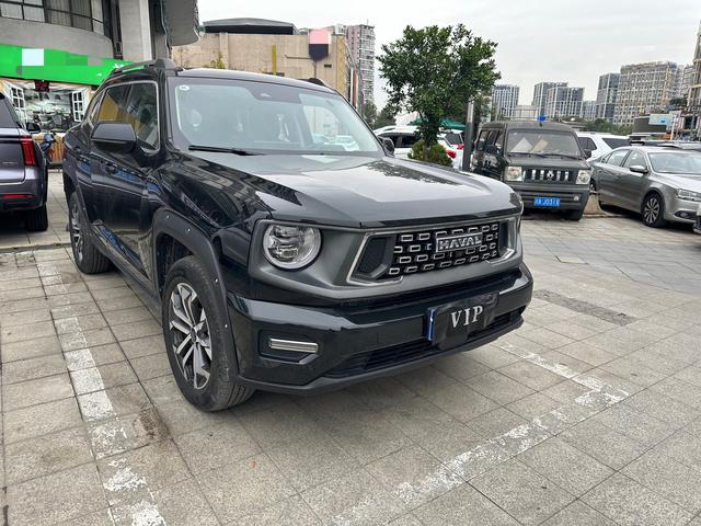 Haval second generation big dog