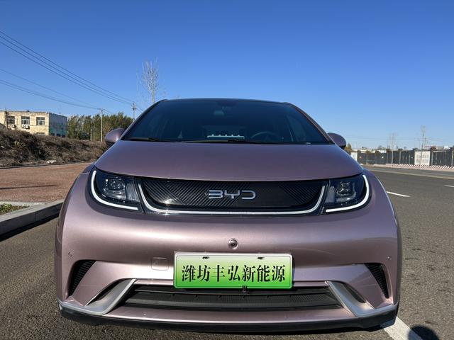 BYD Dolphin