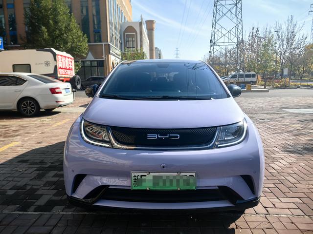 BYD Dolphin