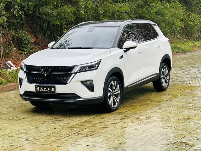 Wuling Star