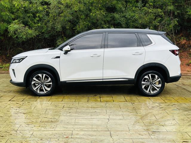 Wuling Star