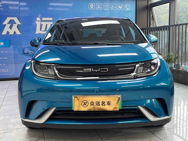 BYD Dolphin