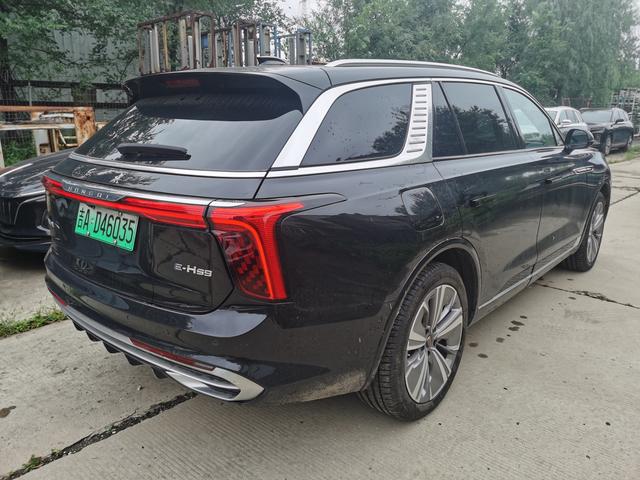 Hongqi E-HS9