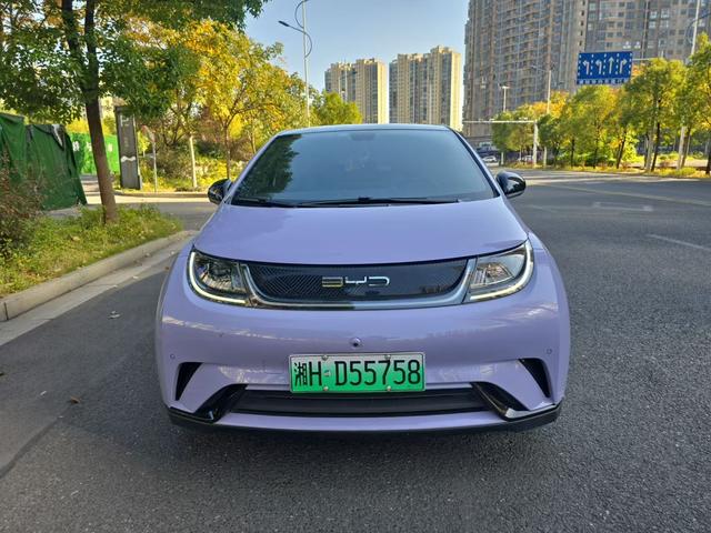 BYD Dolphin