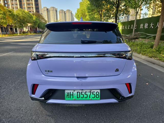 BYD Dolphin