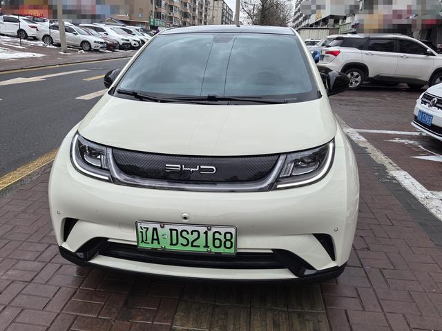 BYD Dolphin