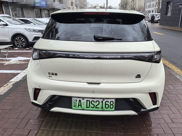 BYD Dolphin