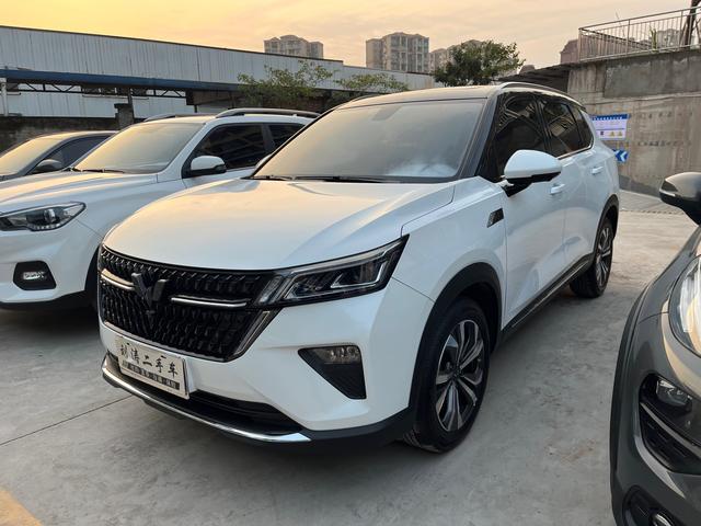 Wuling Star