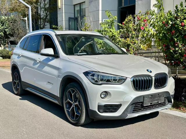 BMW X1 PHEV