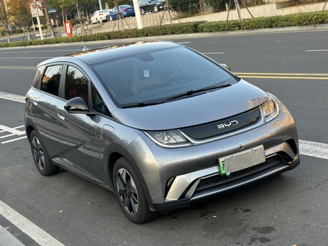 BYD Dolphin