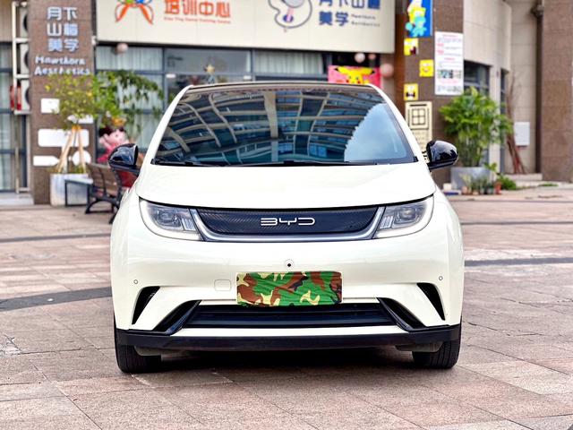 BYD Dolphin