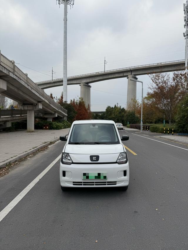 Dongfeng Scenery MINIEV