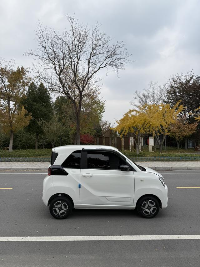 Dongfeng Scenery MINIEV