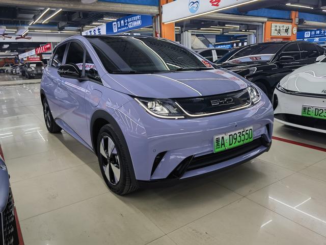 BYD Dolphin