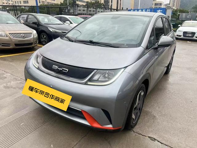 BYD Dolphin