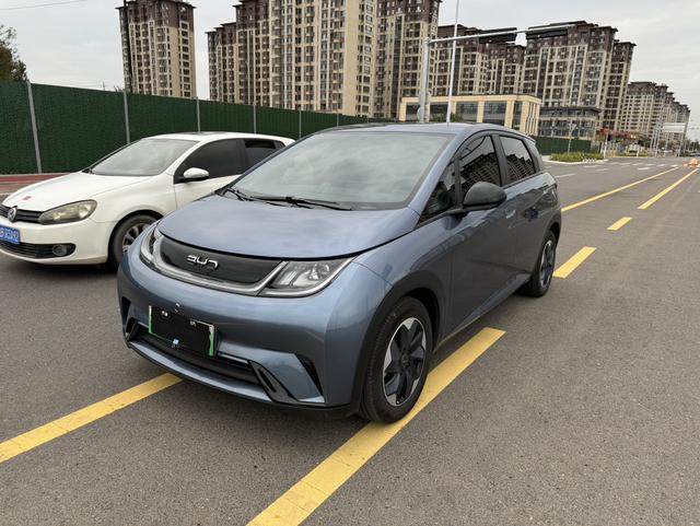 BYD Dolphin