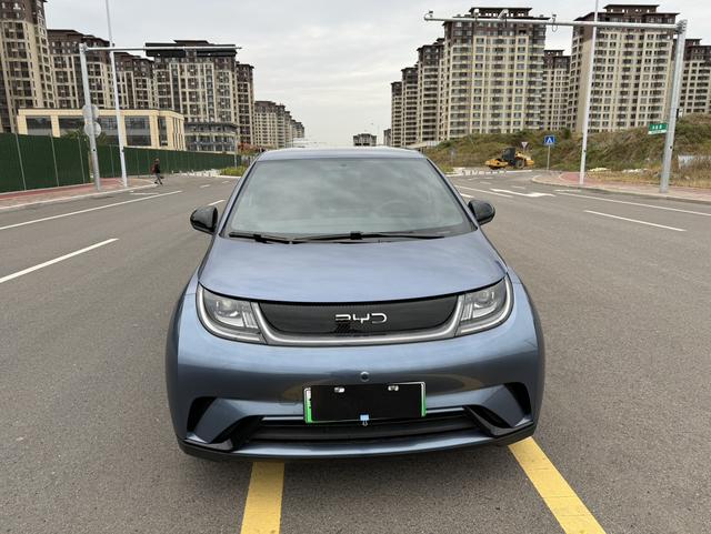 BYD Dolphin