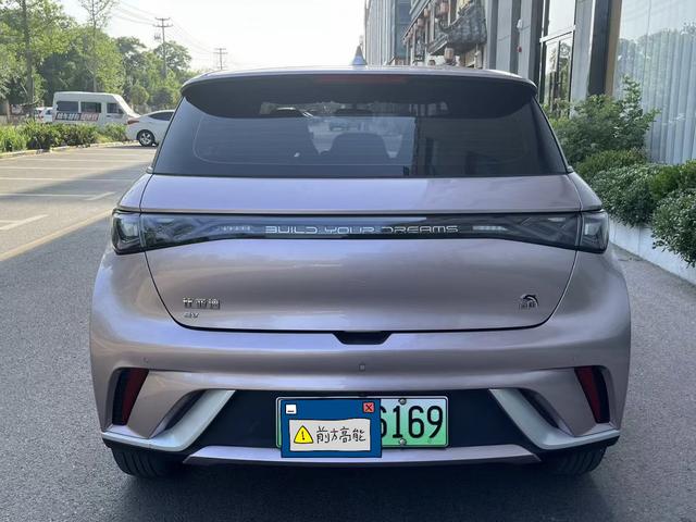 BYD Dolphin