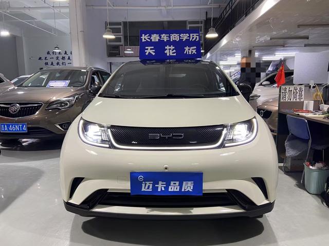 BYD Dolphin