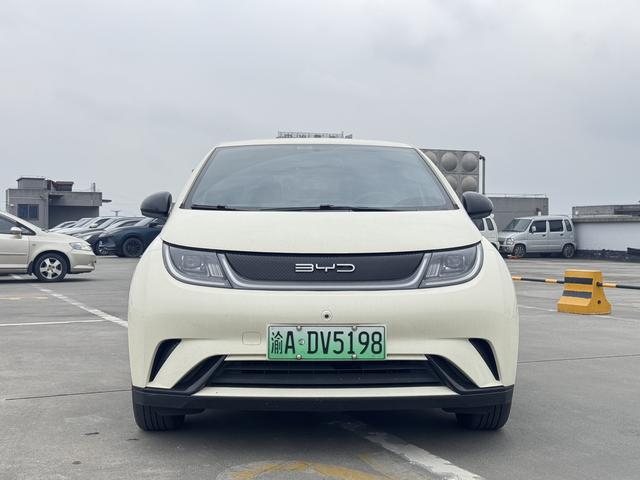 BYD Dolphin