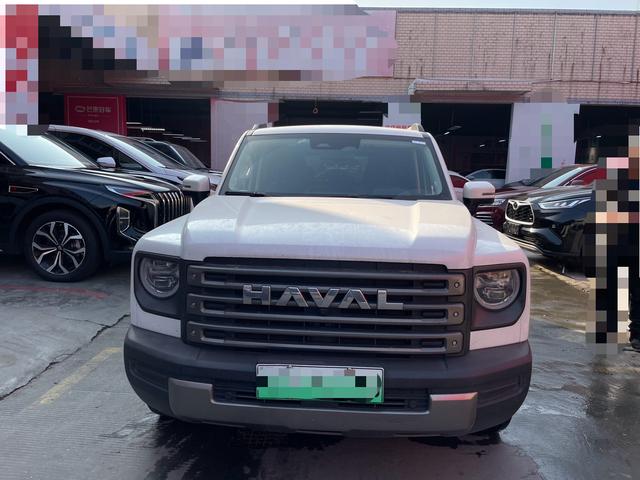 Haval Harvard Raptors