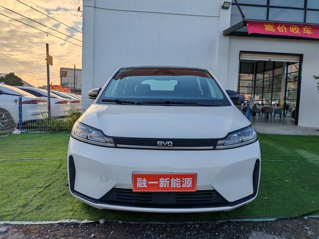 BYD D1