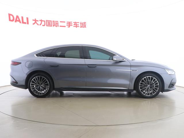 BYD Chinese DM