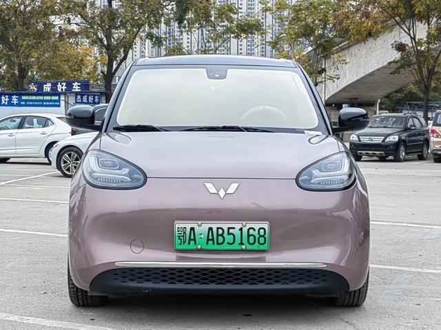 Wuling Bingo