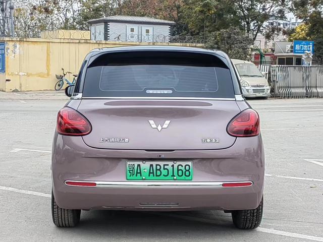 Wuling Bingo