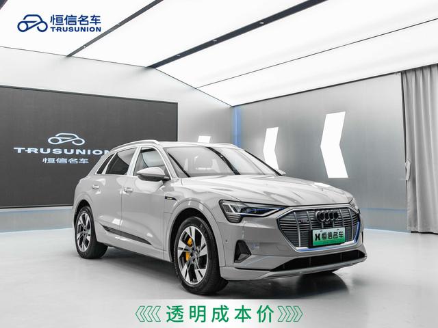 Audi e-tron (imported)