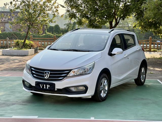 Baojun 310