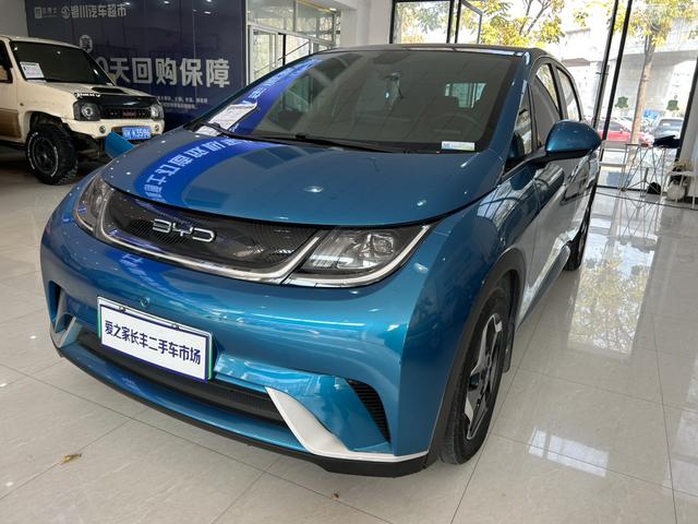 BYD Dolphin