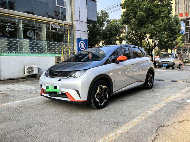 BYD Dolphin