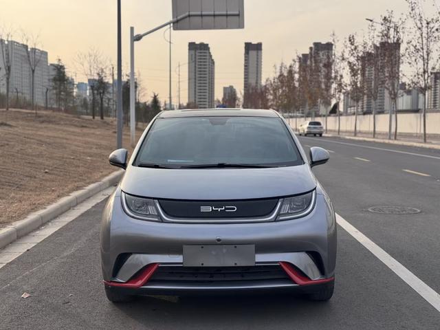 BYD Dolphin