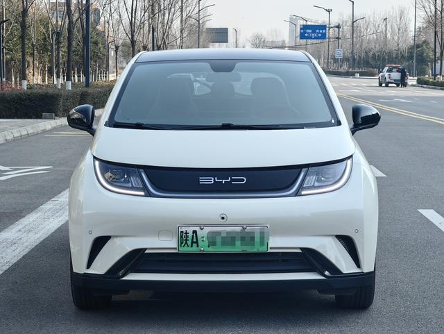 BYD Dolphin