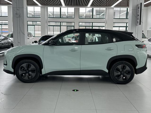 Chery Shuxiangjia