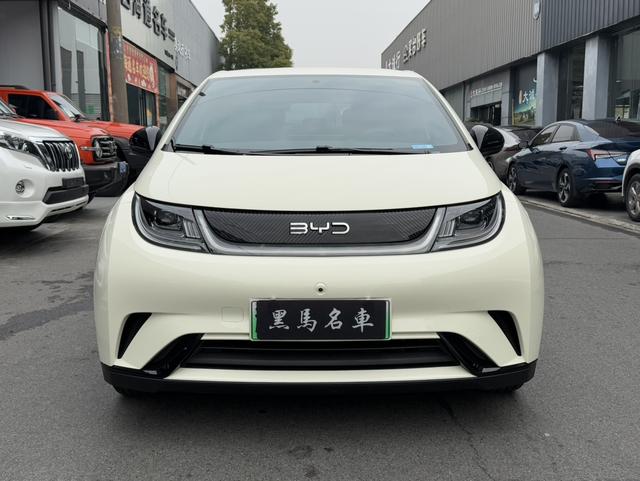 BYD Dolphin