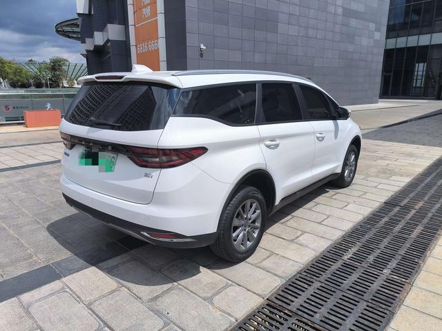 Lifan Maple Leaf 80V