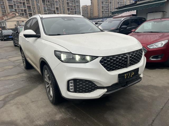 Wei brand VV6