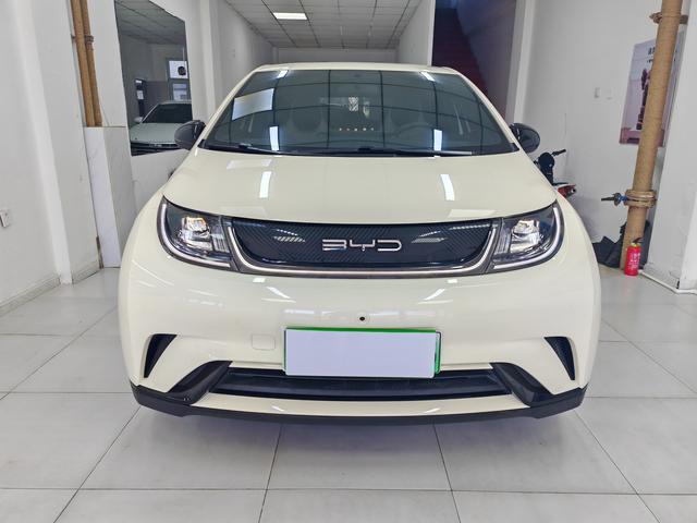 BYD Dolphin