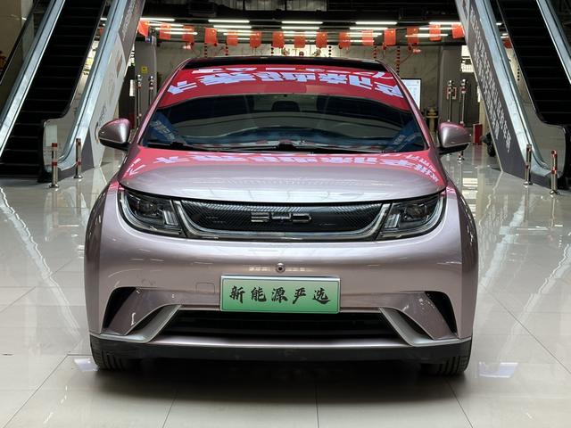 BYD Dolphin