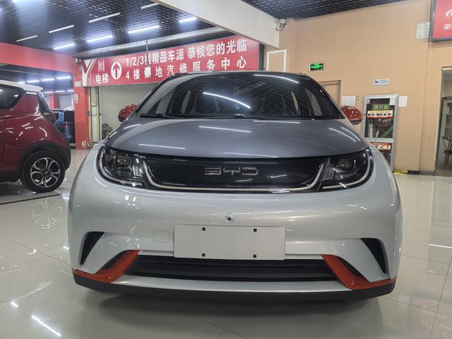 BYD Dolphin