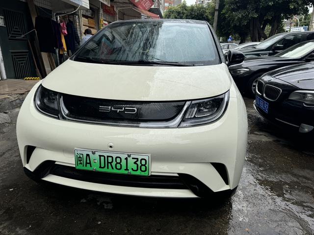 BYD Dolphin