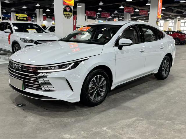 BYD Destroyer 05