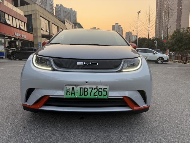 BYD Dolphin