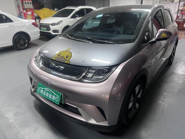 BYD Dolphin