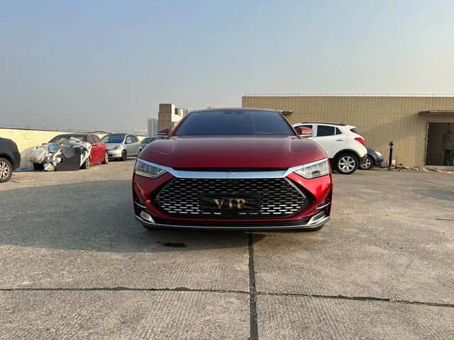 BYD Chinese DM