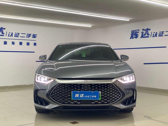 BYD Chinese DM